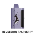 PICCO STAR 40000 – Blueberry Raspberry