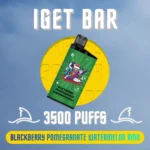 IGET Bar Blackberry Pomegranate Watermelon Rind