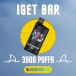 IGET Bar Blackberry Ice