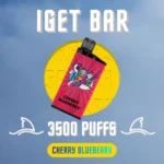 IGET Bar Cherry Blueberry