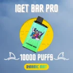 IGET Bar Pro Dynamic Mint