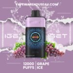 IGET One 12000 Puffs Grape Ice