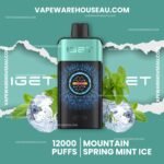 IGET One 12000 Puffs Mountain Spring Mint Ice