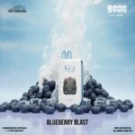 Kuz LUX 9000 Puffs Blueberry Blast