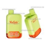 VapSolo Twins 20000 Puffs Watermelon Ice & Mixed Berry