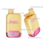 VapSolo Twins 20000 Puffs Watermelon Ice & Strawberry Mango