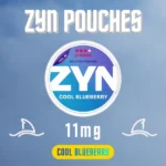 Zyn Pouches Cool Blueberry 11mg