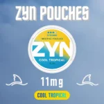 Zyn Pouches Cool Tropical 11mg