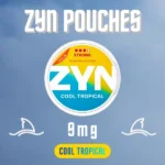 Zyn Pouches Cool Tropical 9mg