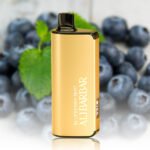 ALIBARBAR INGOT 9000 Puffs Blueberry Mint