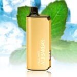 ALIBARBAR INGOT 9000 Puffs Miami Mint