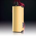 ALIBARBAR INGOT 9000 Puffs FTP