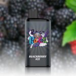 IGET Bar Pro 10000 Puffs Blackberry Ice