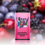 IGET Bar Pro 10000 Puffs Blackberry Pomegranate Cherry